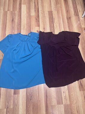 Blue Flutter Sleeve Blouse & Plum Peasant Top - Two-Piece Lot
